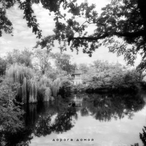 Дорога домой