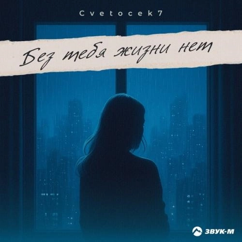 Без тебя жизни нет