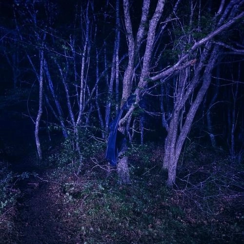 Да Просвятит Нас Бог