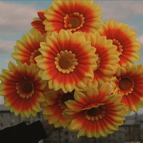 Память о тебе