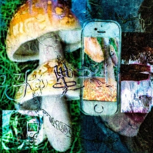 пара модных кроссовок