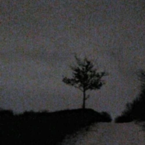 Венерический букетик (Old Version)