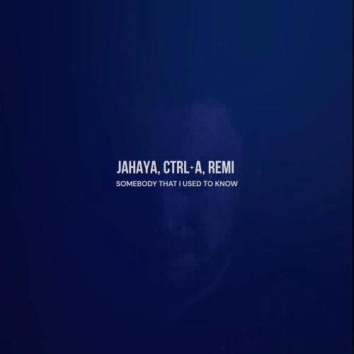 Somebody That I Used to Know