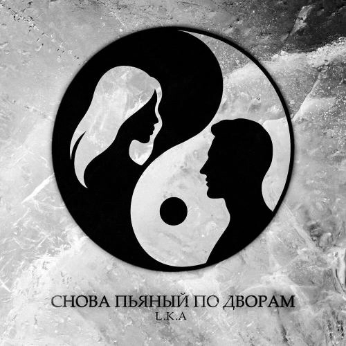 Снова пьяный по дворам