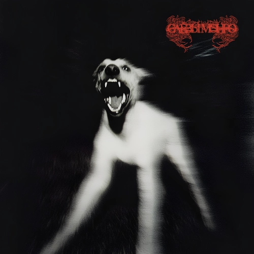 Отвези меня на рейв