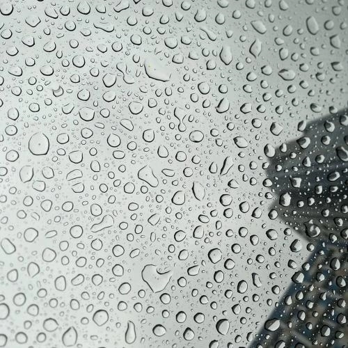 Может дождь