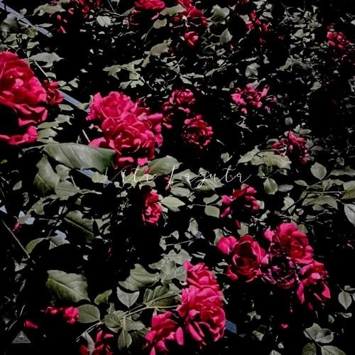 Летним днём