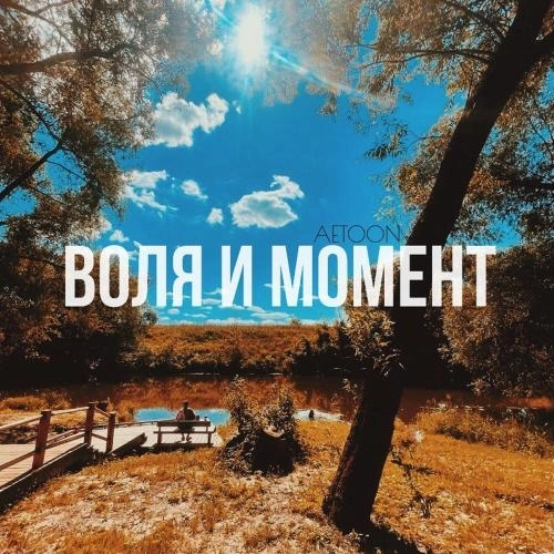 Воля И Момент