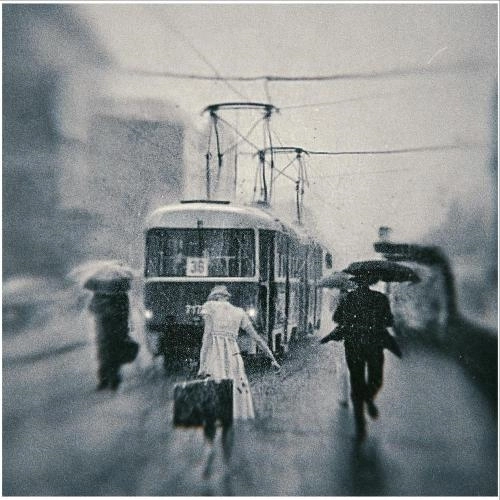 ЛЕТНИЙ ДОЖДЬ