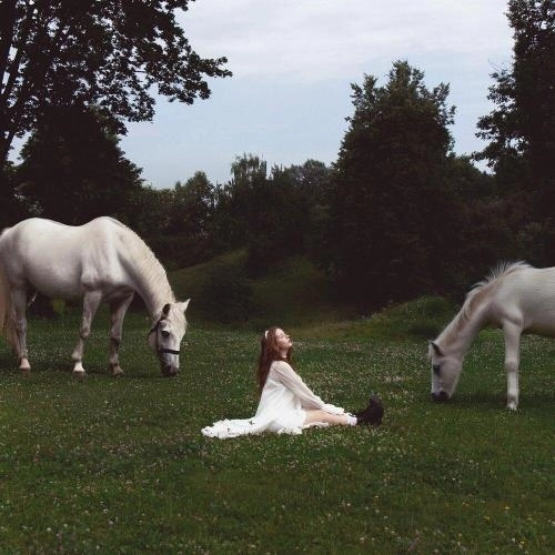 Дигидигидайда