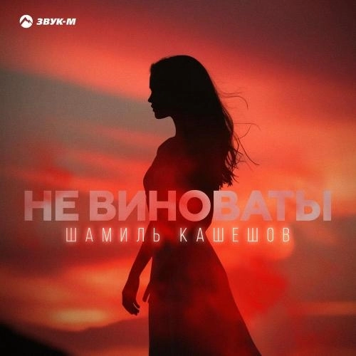 Не виноваты