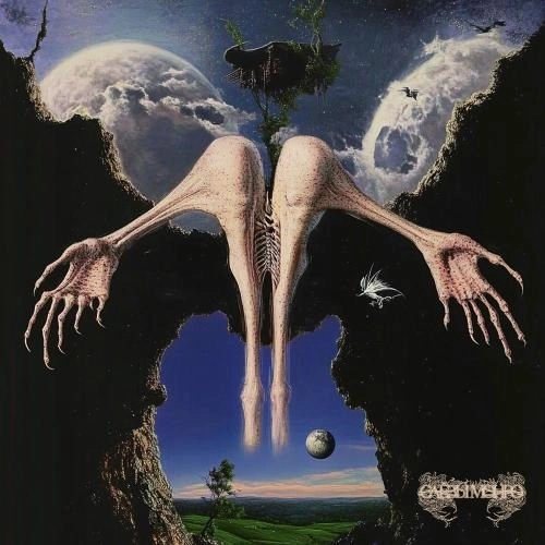 Затеряться в безумии танца