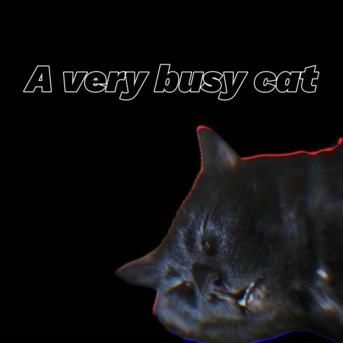 A Very Busy Cat