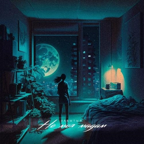 Не Моя Мадам