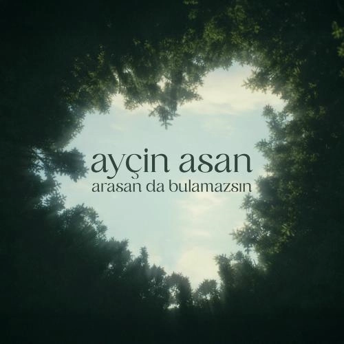 Arasan Da Bulamazsın