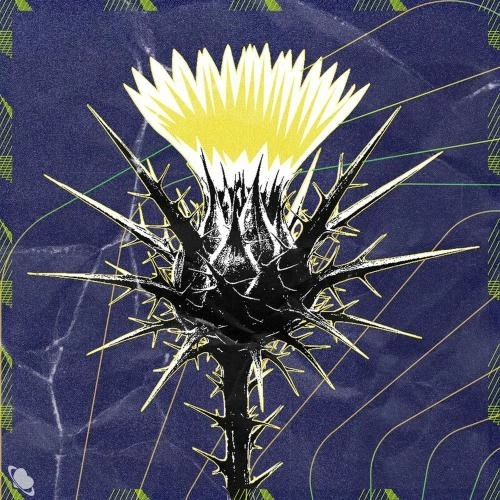 Uzun İnce Bir Yoldayım