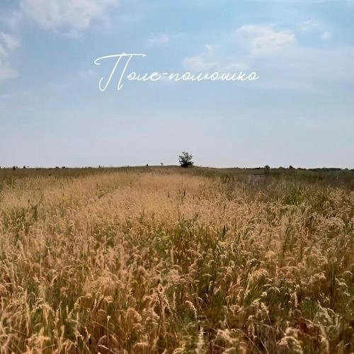 Поле-полюшко