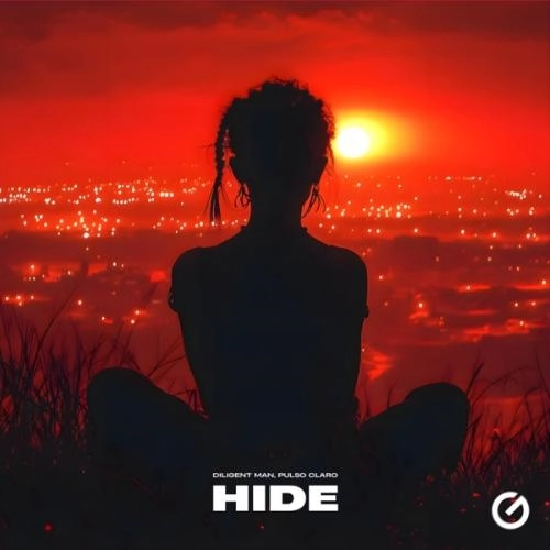 Hide