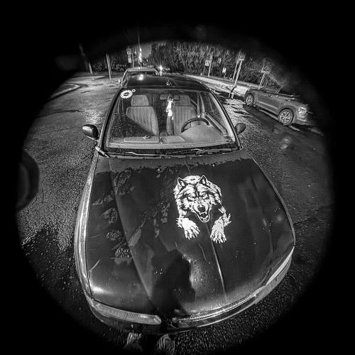 хонда цивик