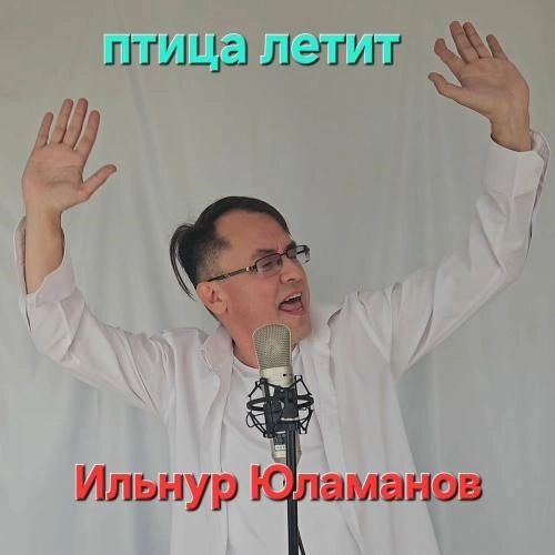 Птица Летит