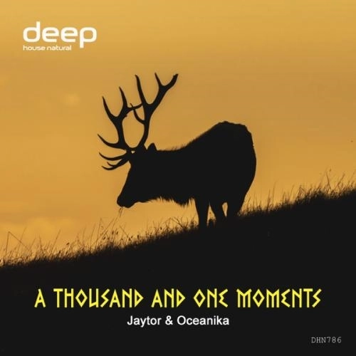 A Thousand and One Moments