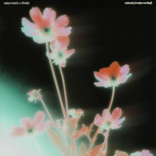 Nobody (Make Me Feel)