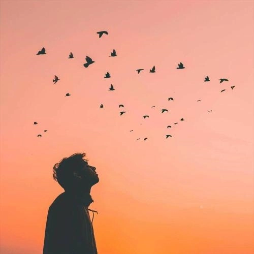 поможет только