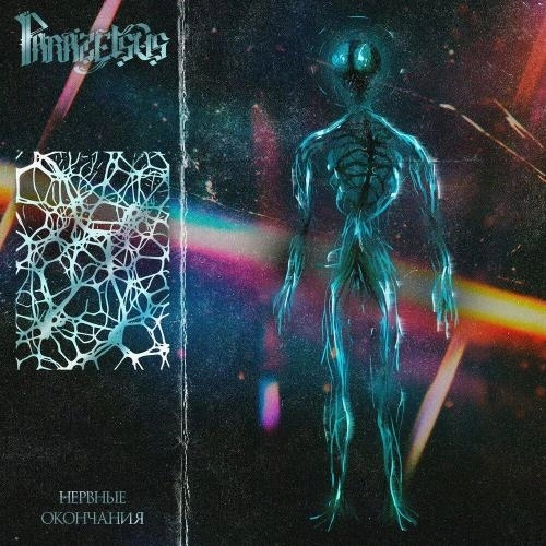 Нервные окончания