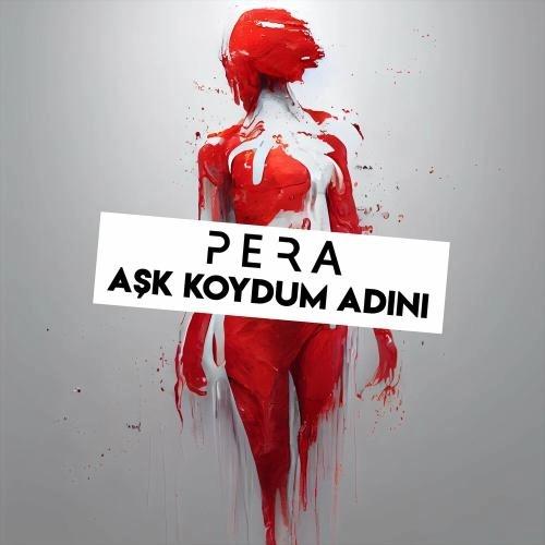 Aşk Koydum Adını