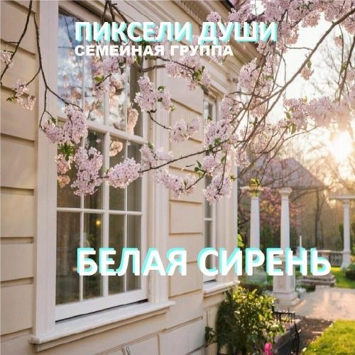 Белая сирень