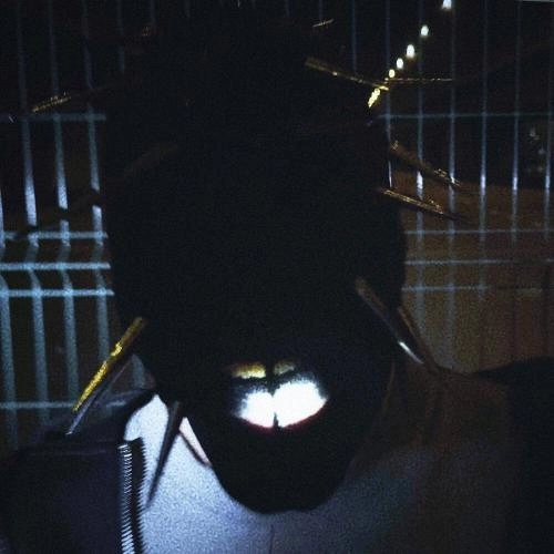 фит с плейбоем карти