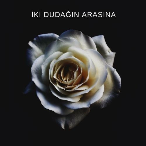 İki Dudağın Arasına