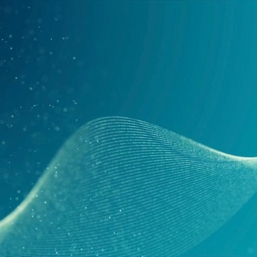 Analogue Flora (Original)