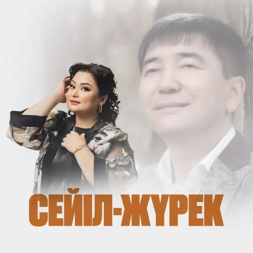 Сейіл-жүрек