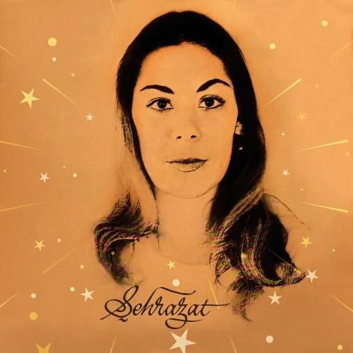 Sevdim Bir Genç Adamı