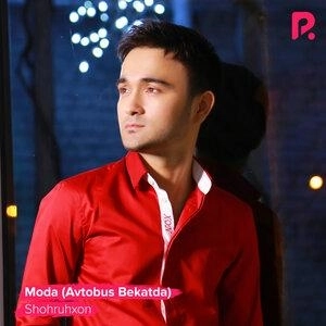 Samba (Chao bambino)