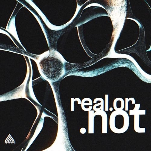 real.or.not