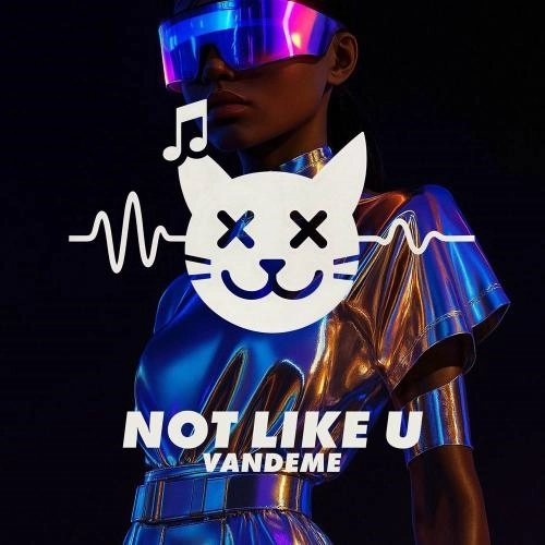 Not Like U (Extended Mix)