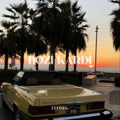Bozi Kardi