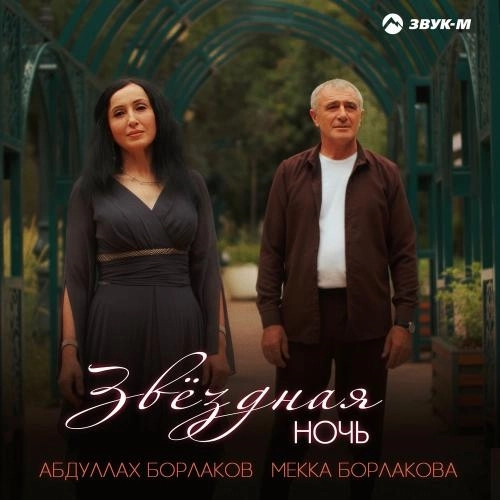 Звёздная Ночь