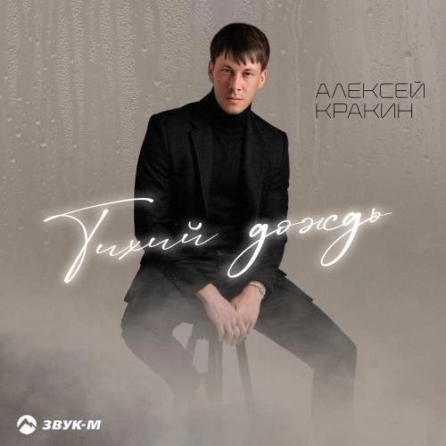 Тихий дождь