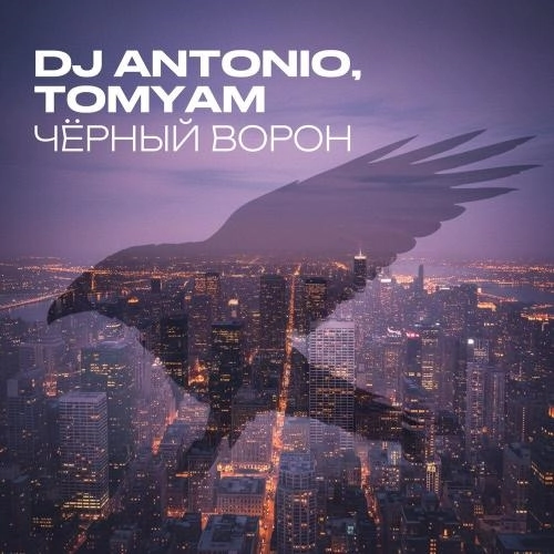 Чёрный ворон