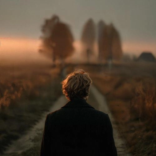 Не жалею, не зову, не плачу