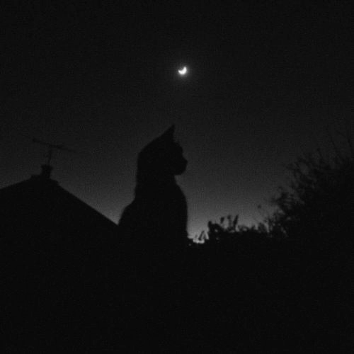 the night we met (Slowed)