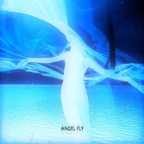 Angel Fly