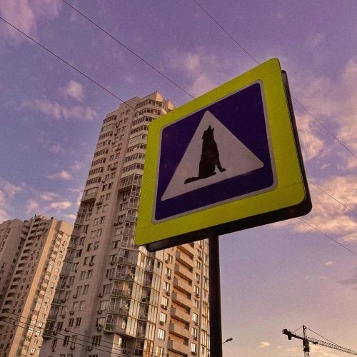 Собачий вой