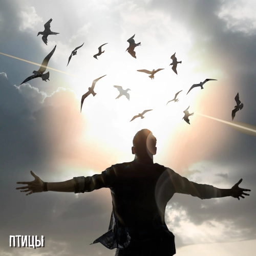 Птицы