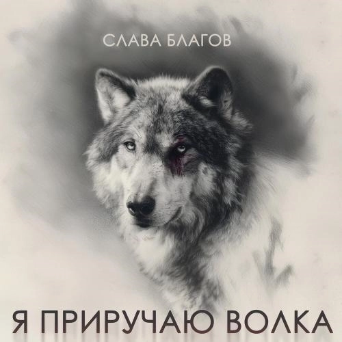 Я приручаю волка