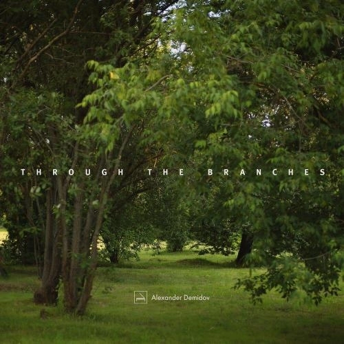 Through the Branches