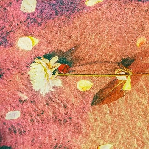 Malibu (Extended Mix)